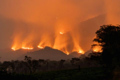 Helikopter BNPB melakukan operasi water bombing untuk memadamkan kebakaran hutan di kawasan Gunung Arjuno-Welirang.